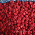 China IQF Frozen Fruits, Frozen Berries, Frozen Strawberry American 13